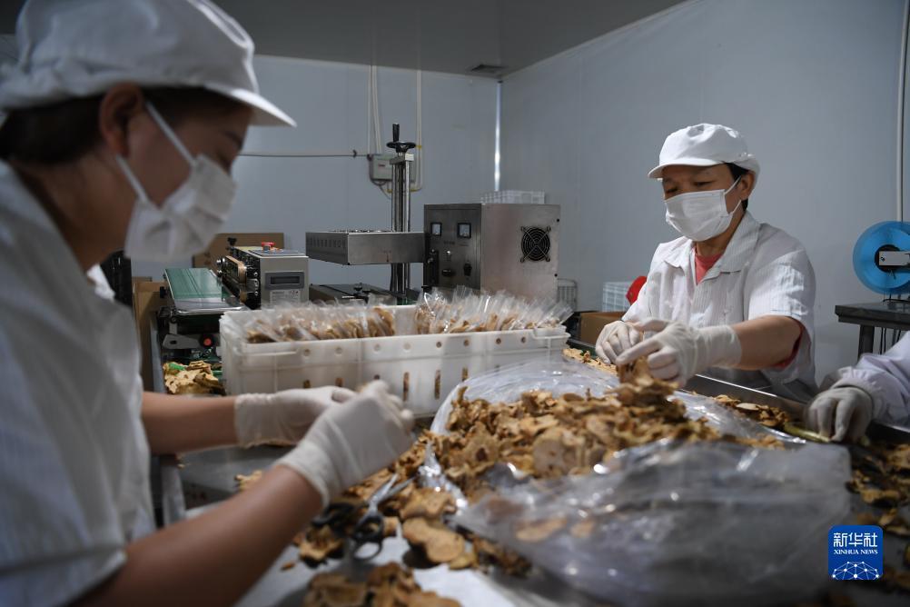正版富豪棋牌